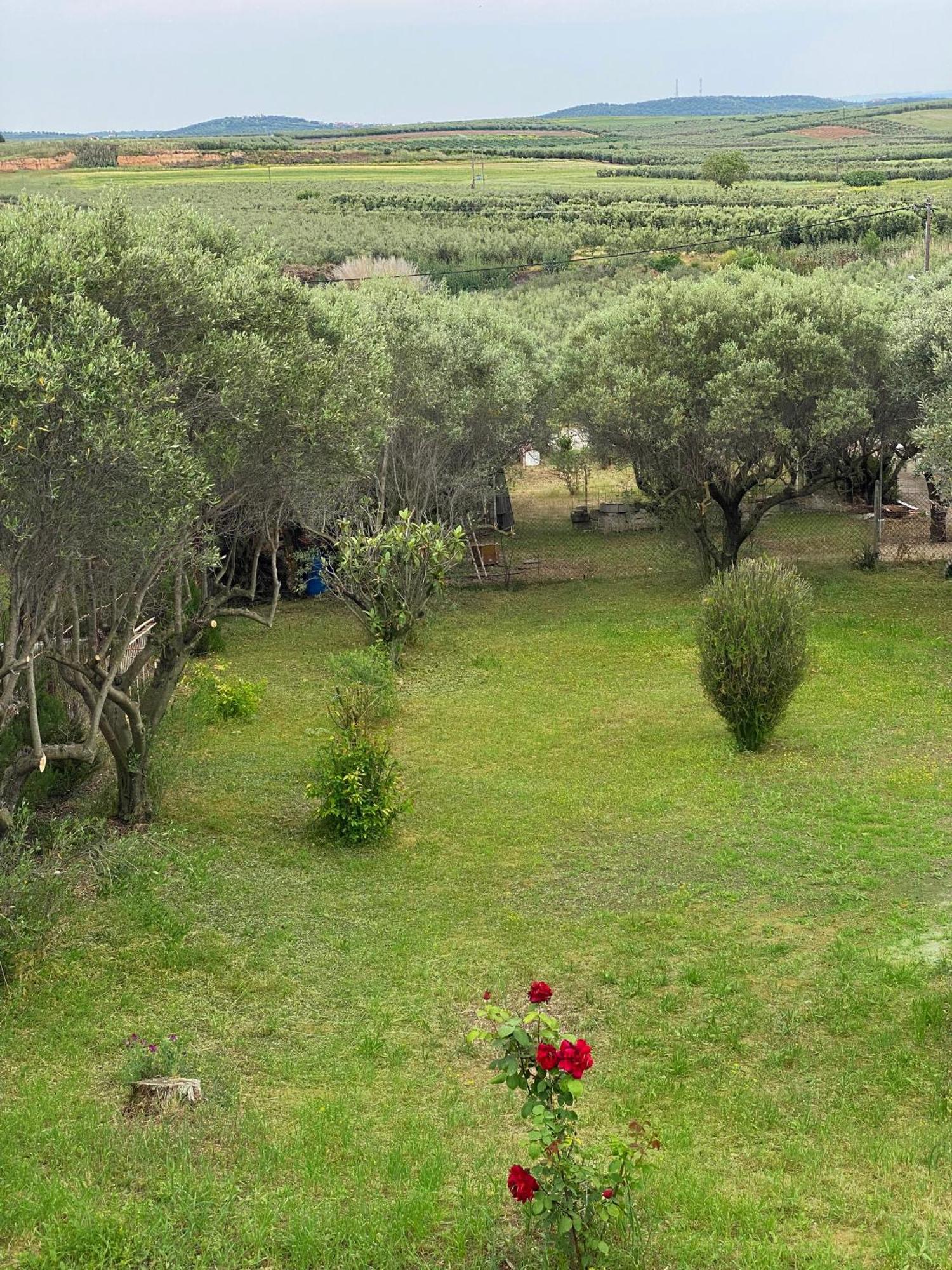 Mediterranean Escape Floyitá Eksteriør bilde